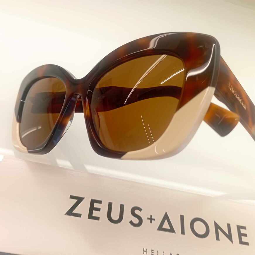 ZEUS+ΔΙΟΝΕ HERA