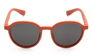 HOTWEELS HWS009