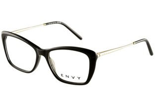 ENVY EN6395